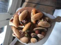 Ook voor de lunch naar Boca's: een plank vol broodjes voor iedereen met keuzestress