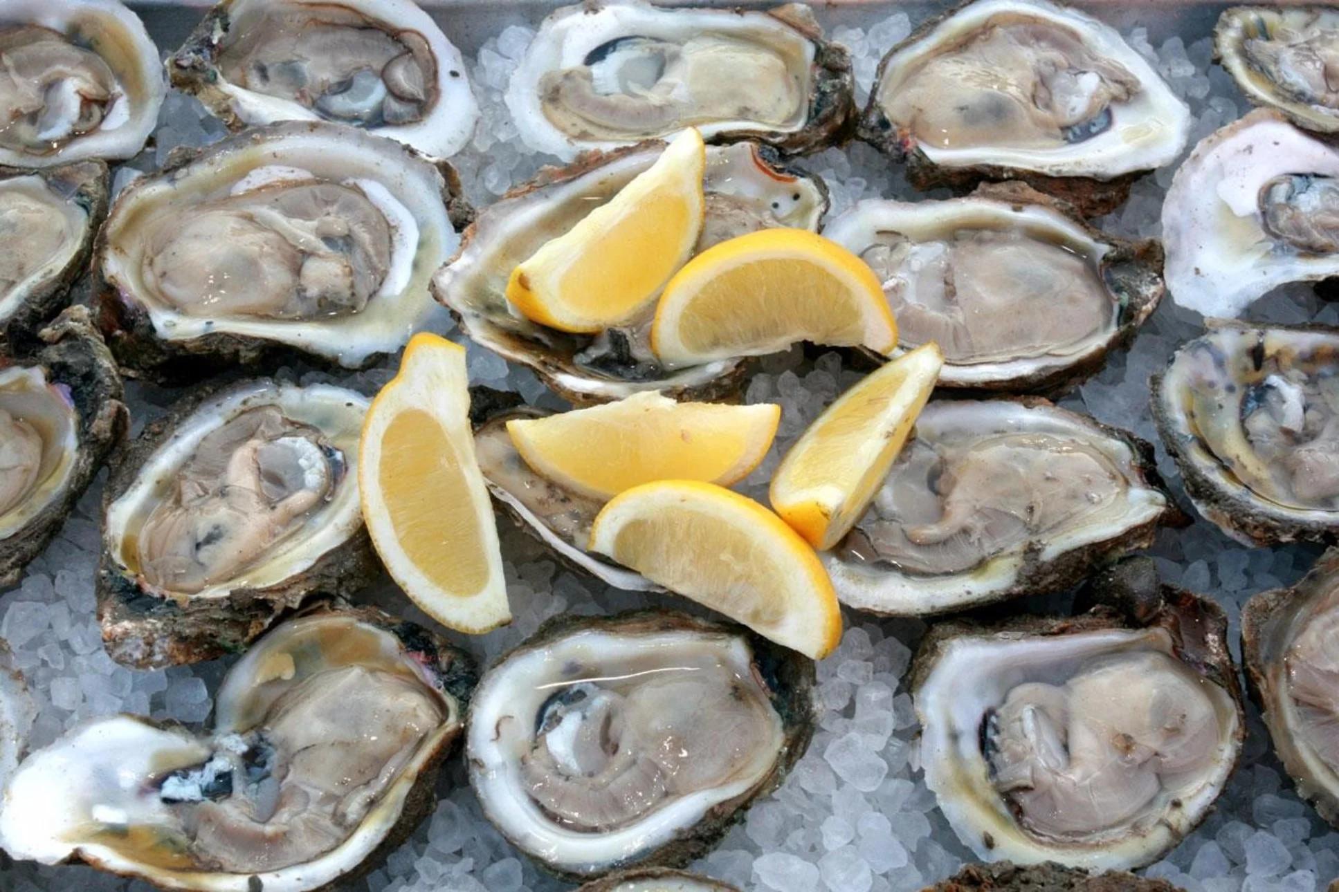 7x oesters happen in Rotterdam