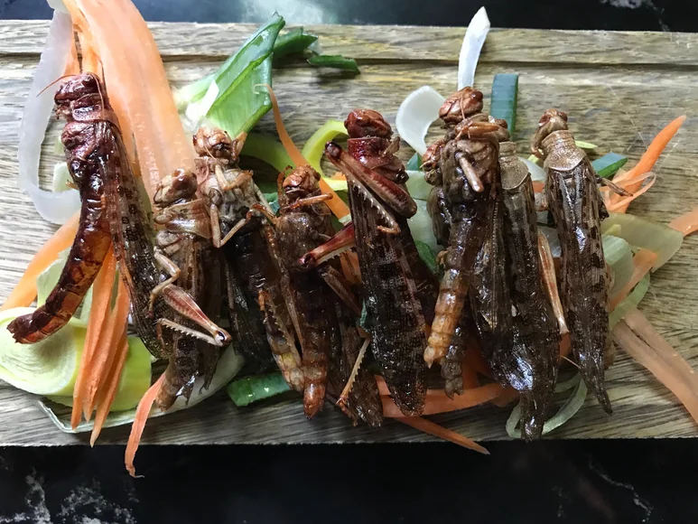 Zet je tanden in een krokodillenstaart en gefrituurde sprinkhaan