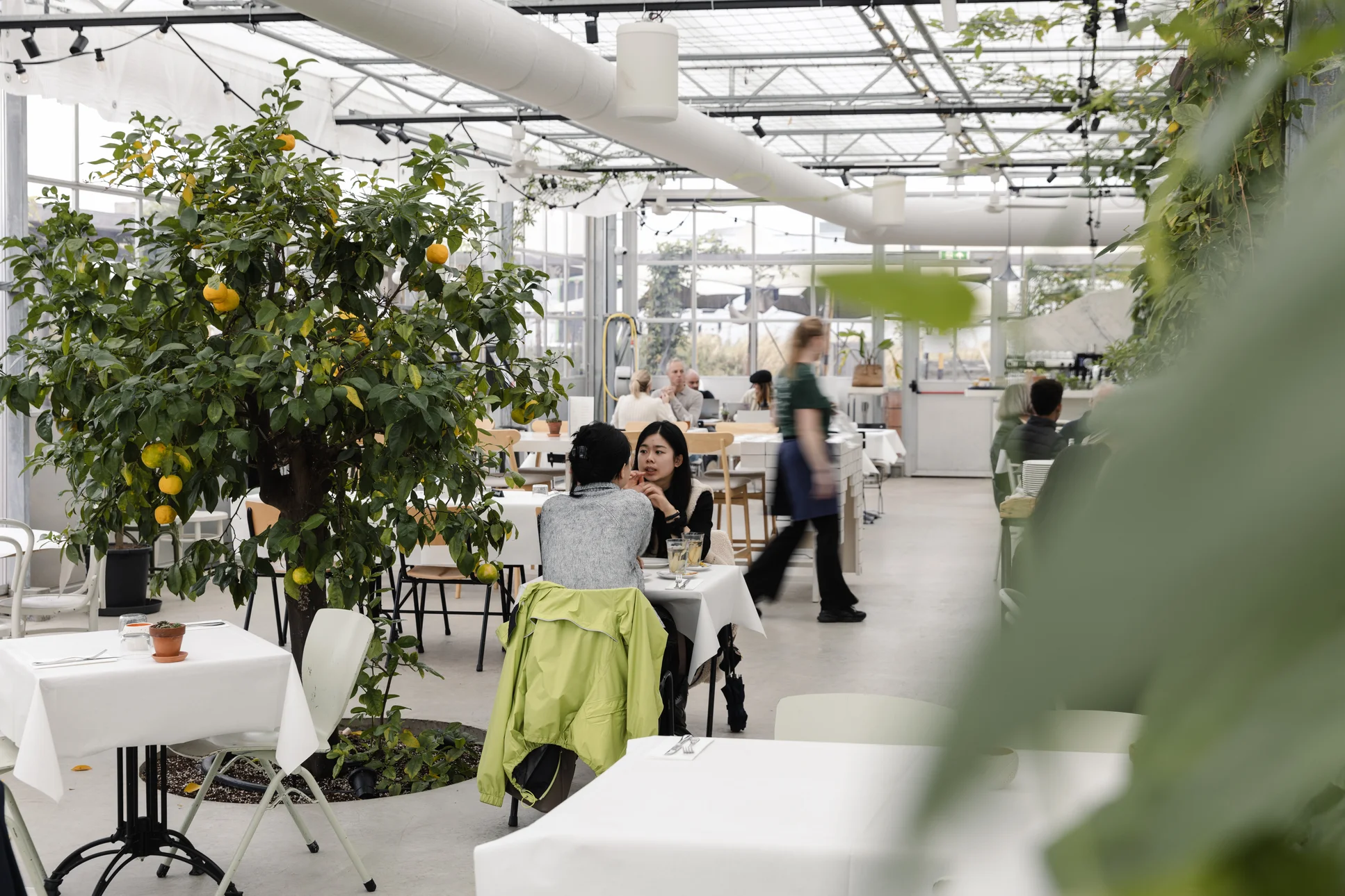 Café Clementine