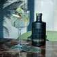 Gin tonic Gym & gin - de Buik van Rotterdam.jpg
