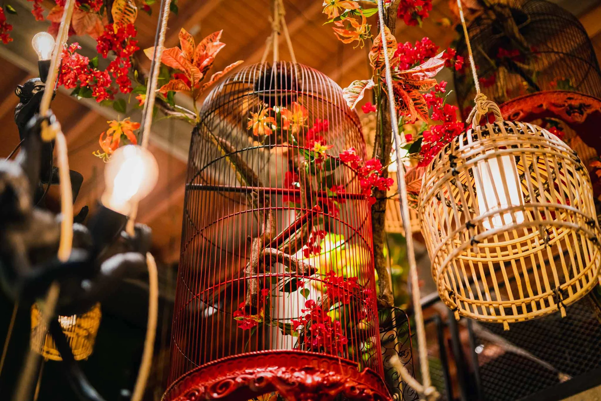 Madame Saigon